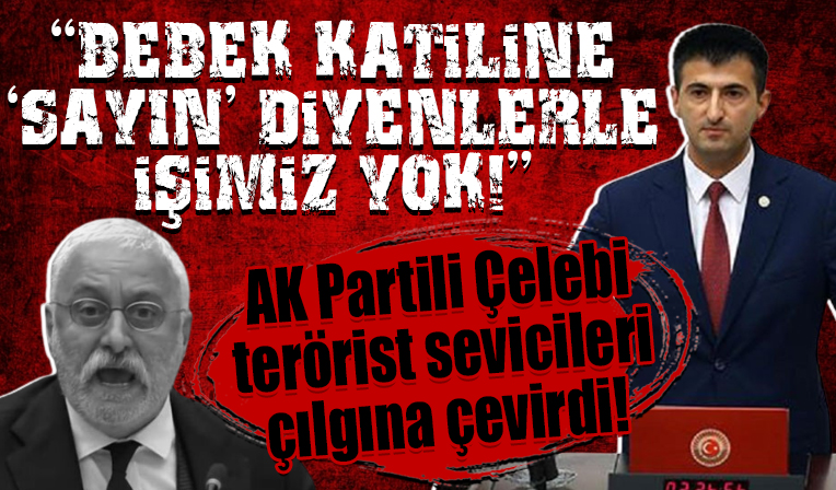 AK Partili Çelebi HDP'lileri sinirlendirdi: Bizim bebek katiline 'Sayın' diyenlerle işimiz yok