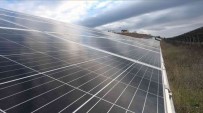 Dogu Karadeniz'in En Büyük Günes Enerji Santrali Tam Kapasite Üretime Basladi