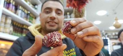 Düzce'de Korku Ve Travma Aktarlarin Yogunlugunu Artirdi