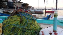 Karadeniz'de Avlanan Ince Hamsi, Diger Balik Çesitlerini Tehdit Ediyor