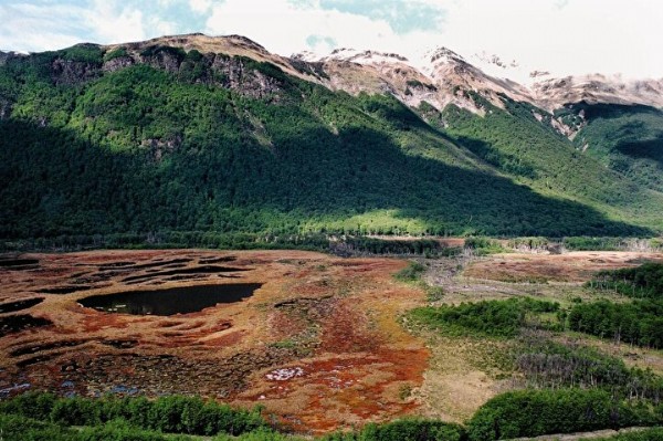 Esrarengiz görüntü: Ne olduğunu kimse anlayamadı herkes bu garip olayın sebebini merak ediyor