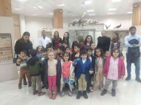 Dicle Üniversitesi'nde 50. Yil Etkinlikleri Basladi