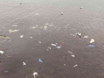 Kadiköy'ü Lodos Vurdu, Caddebostan Sahilini Plastik Atiklar Kapladi