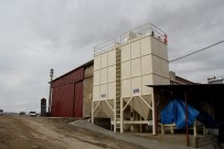 Süt Üreticisinin Yem Maliyetini Düsürecek Önemli Projede Sona Dogru