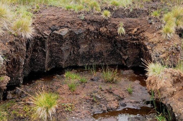 Esrarengiz görüntü: Ne olduğunu kimse anlayamadı herkes bu garip olayın sebebini merak ediyor