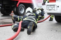 6 Bin 860 Olaya Müdahale Etti, 1005 Vatandasi Ve 1119 Hayvani Kurtardi