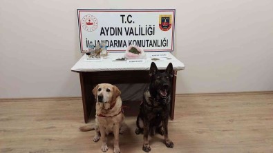 Koçarli'da Uyusturucu Saticilarina Operasyon