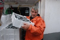 Tonlarca çıkardılar: Herkes leğen leğen alıp evine götürdü