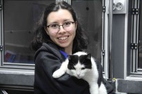 Kocaeli'de 19 Bin 445 Hayvanin Kimliklendirildi