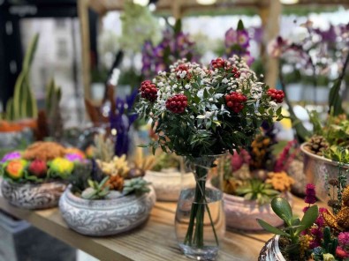 Kokina Çiçekleri Yilbasina Hazir