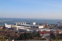 Samsun Serbest Bölgesi'nin Ticaret Hacmi 389 Milyar Dolar Oldu