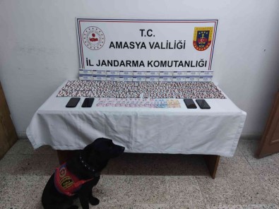 Amasya'da Jandarmanin Operasyonunda Bin 288 Adet Uyusturucu Hap Ele Geçirildi