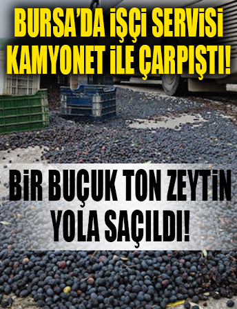 Bursa'da işçi servisi ile kamyonet çarpıştı! Bir buçuk ton zeytin yola saçıldı!