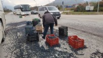 Bursa'da işçi servisi ile kamyonet çarpıştı! Bir buçuk ton zeytin yola saçıldı!
