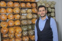 Mühendisligi Birakti, Elazig'da Bir Ilki Basardi Açiklamasi Meyve Kurusu Siparislerine Yetismeye Çalisiyor