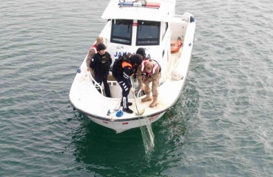 Jandarma Ekipleri, Kaçak Avcilarin Kullandigi Bin 50 Metrelik Agi Ele Geçirdi