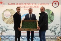 Samsun'da 6 Bin 783 Dekar Alanda 8 Bin 240 Ton Marul Üretiliyor