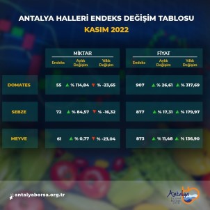 Antalya Ticaret Borsasi Kasim Ayi Hal Endeksini Açikladi