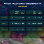 Antalya Ticaret Borsasi Kasim Ayi Hal Endeksini Açikladi