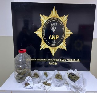Aydin'da Uyusturucuyla Mücadele Sürüyor