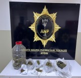 Aydin'da Uyusturucuyla Mücadele Sürüyor