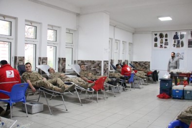 Mehmetçik Kan Ve Kök Hücre Bagisinda Bulundu