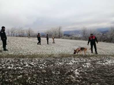 Biranda Ortadan Kaybolan Annesinin Kaçirildigini Ileri Sürdü