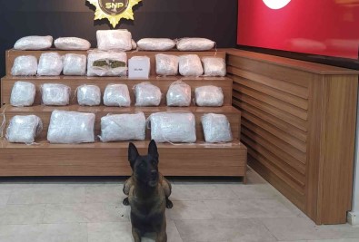 Sanliurfa'da 21 Kilo 550 Gram Skunk Ele Geçirildi