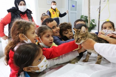 2022 Yilinda Bin 672 Kisirlastirma