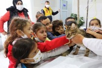 2022 Yilinda Bin 672 Kisirlastirma