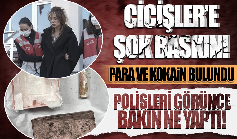 Beşiktaş polisinden “Ciciş Kardeşlerin” evine baskın: Rulo şeklinde para ve kokain bulundu