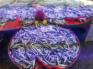 Hamsi Fiyatlarinda Yüzde 50'Ye Varan Düsüs