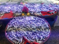 Hamsi Fiyatlarinda Yüzde 50'Ye Varan Düsüs