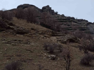 Itfaiye Ekipleri, Dagda Mahsur Kalan Keçiyi 5 Saatlik Ugras Sonucu Kurtardi