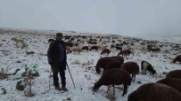 Kars'ta Göçerlerin Zorlu Yolculugu Sürüyor