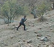 Koruma Altindaki Yaban Keçisini Avlayan Avcilara 256 Bin Lira Ceza