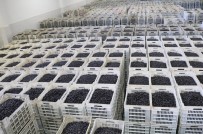 Marmarabirlik'ten 150 Milyon Lira Ödeme