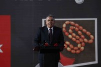 Türkiye'nin Ilk 'Tespih Ve Dogal Taslar Fuar'i Adana'da Açildi