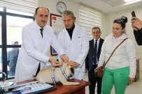 Adana'da 15 Bin Hayvana Çip Takildi