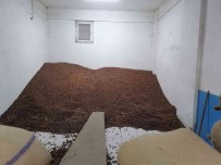 Findik Fiyati 3 Dolarin Üzerine Çikti