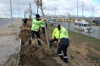 TEM Gebze Güzergahinda Agaçlandirma Seferberligi