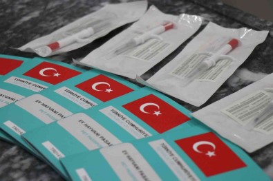 6 Gün Sonra Süre Doluyor Açiklamasi Veteriner Hekimler Ek Süre Istedi