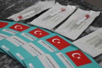 6 Gün Sonra Süre Doluyor Açiklamasi Veteriner Hekimler Ek Süre Istedi