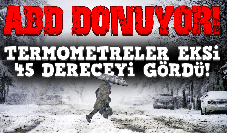 ABD donuyor: Eksi 45’lere ulaşan soğuk hayatı durdurdu