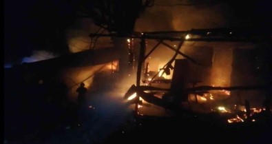 Ahir Alev Alev Yandi Açiklamasi 30 Tavuk Telef Oldu