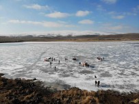 Buz Tutan Çildir Gölü'ne Yogun Ilgi