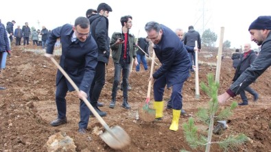 Inönü Üniversitesi'nde Bin Fidan  Toprakla Bulusturuldu