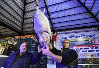 Dev Orkinos Ilgi Odagi Oldu