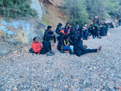Fethiye'de 54 Düzensiz Göçmen Yakalandi