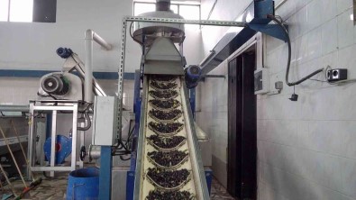 Icradan Alindi, Yeniden Dogdu, Rekora Gidiyor